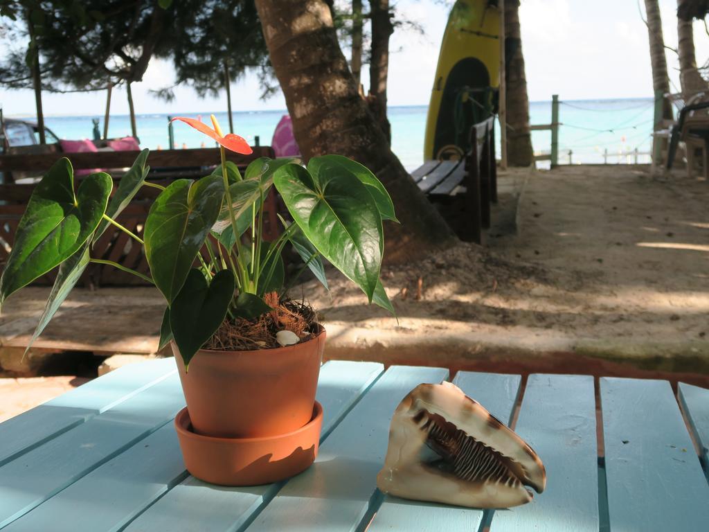 Eco Hotel Club Rolling Stone Boca Chica Kültér fotó